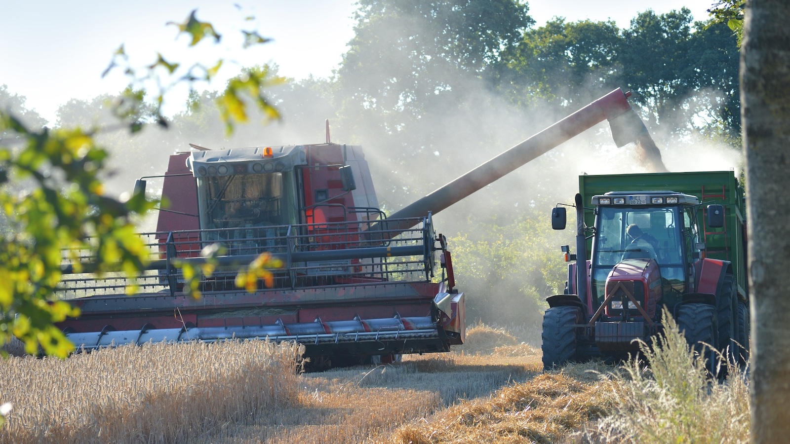 Kreis Höxter: Landwirte demonstrieren in Berlin